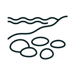 Stones icon indicating a pebbly or rocky beach