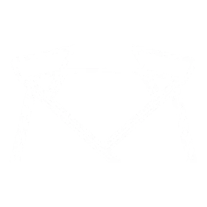 Bimini top icon indicating sun shade availability on the boat